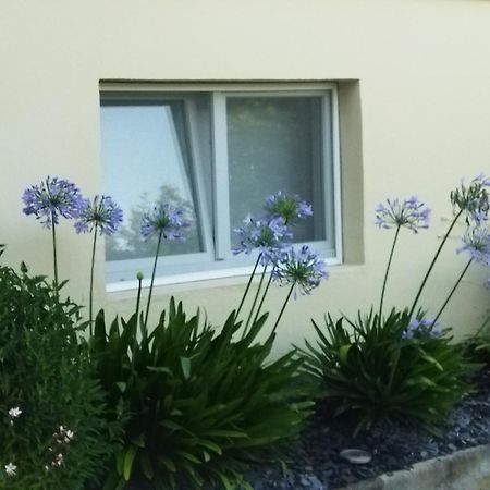 Les Hortensias Fortschwihr Buitenkant foto