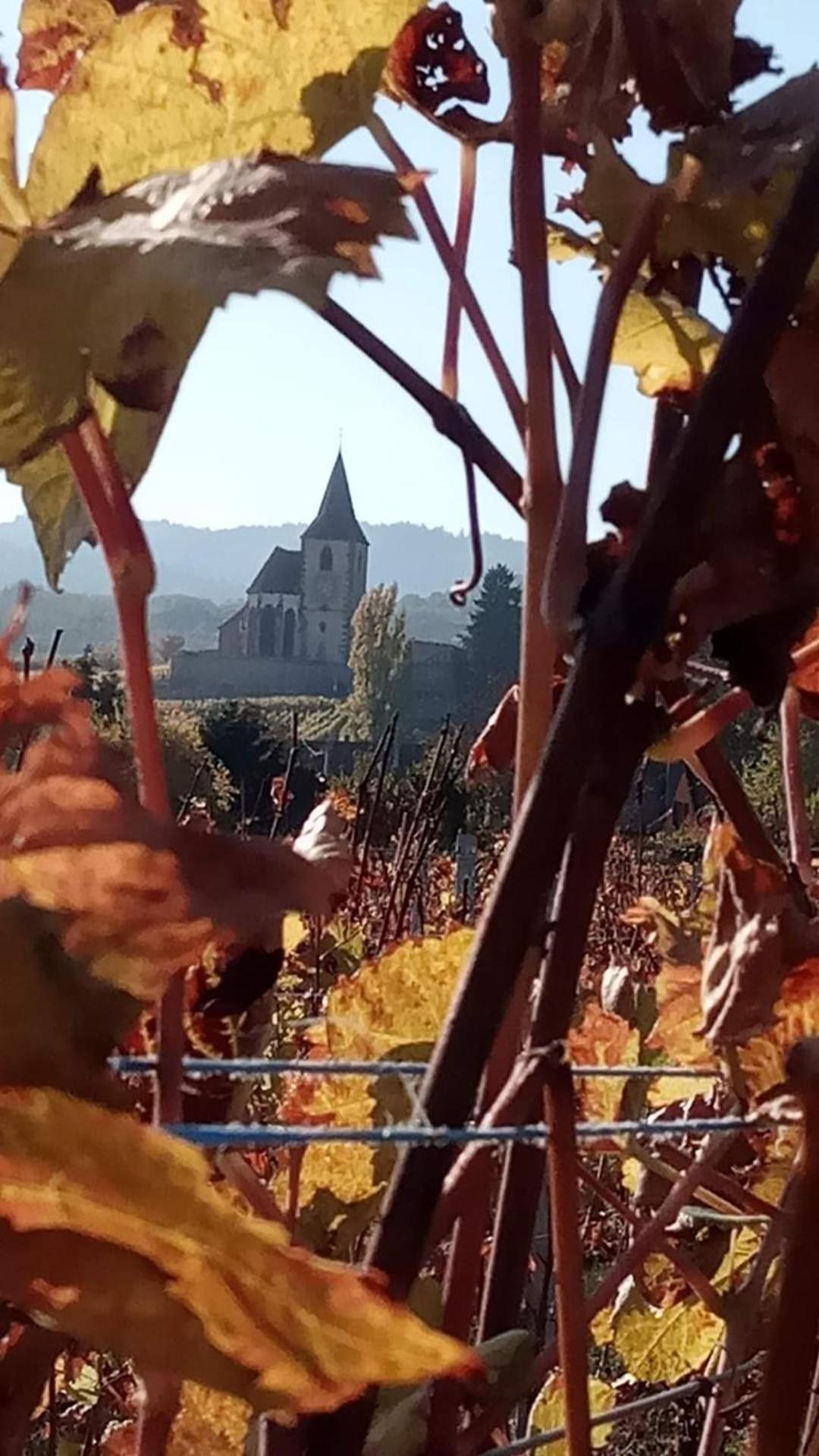 Les Hortensias Fortschwihr Buitenkant foto